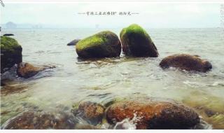 守候阳光守候你