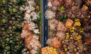 一鲸落万物生完整句