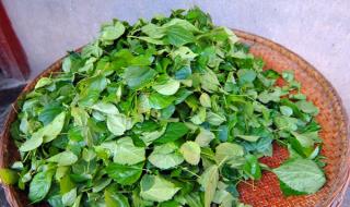 神仙豆腐的做法 神仙豆腐的做法