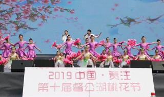 舞蹈桃花红杏花白 舞蹈桃花红杏花白