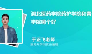 湖北医学院药护学院